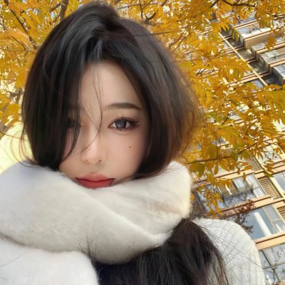 阿尔忒弥斯计划
